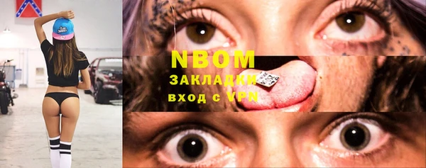 прущие грибы Алексеевка