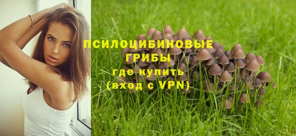 прущие грибы Алексеевка