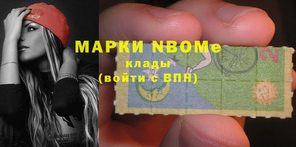 прущие грибы Алексеевка