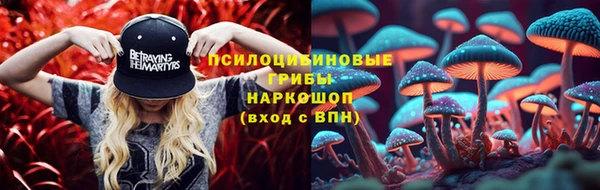 герыч Алзамай