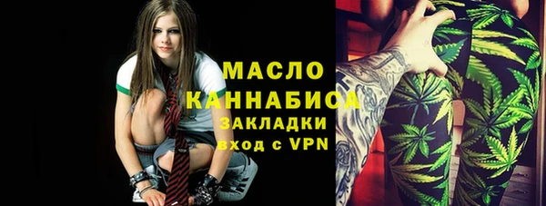 тгк Мамадыш