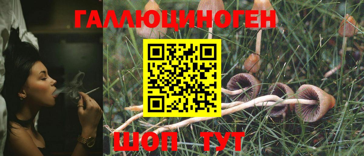 Красноярск  Галлюциногенные грибы Cubensis  Вход с VPN 