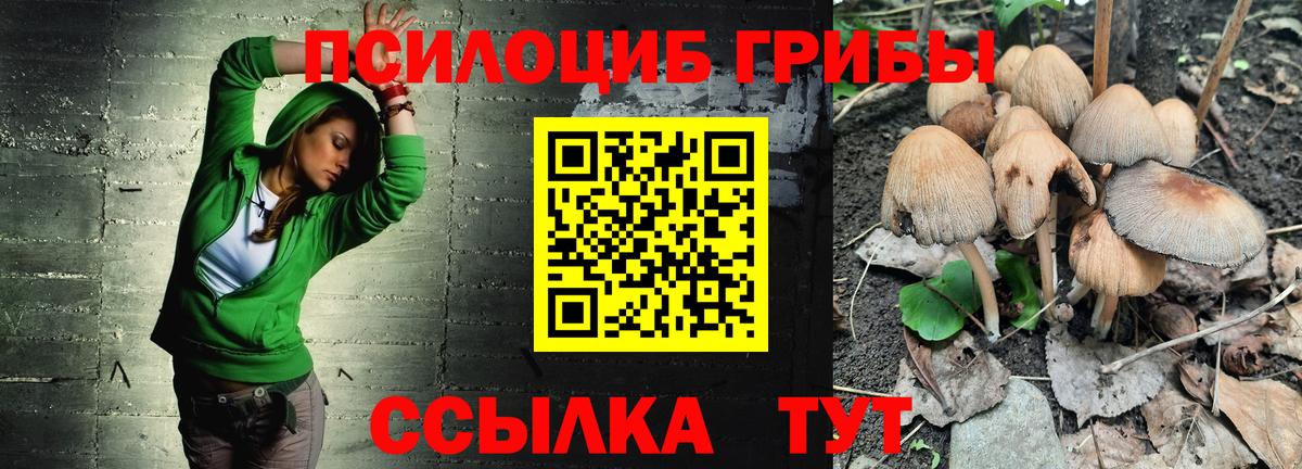 Псилоцибиновые грибы Psilocybine cubensis Красноярск